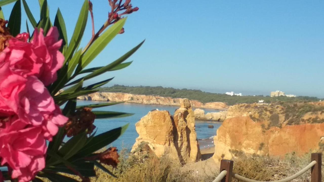 Albur Village B - Dandelion Alvor Exteriör bild